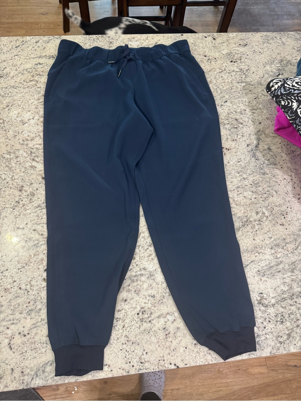 Lululemon Blue Jogger Pants
